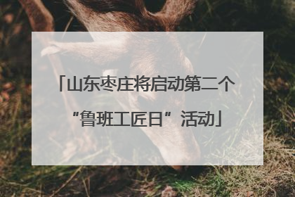 山东枣庄将启动第二个“鲁班工匠日”活动