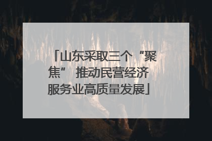 山东采取三个“聚焦” 推动民营经济服务业高质量发展