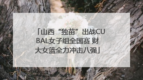 山西“独苗”出战CUBAL女子组全国赛 财大女篮全力冲击八强