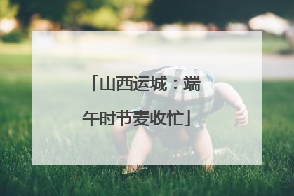 山西运城：端午时节麦收忙