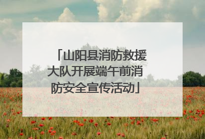 山阳县消防救援大队开展端午前消防安全宣传活动