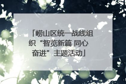 崂山区统一战线组织“智览新篇 同心奋进”主题活动