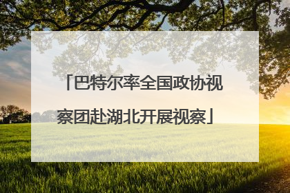 巴特尔率全国政协视察团赴湖北开展视察