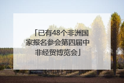 已有48个非洲国家报名参会第四届中非经贸博览会