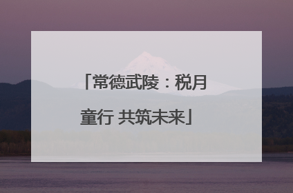 常德武陵：税月童行 共筑未来