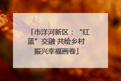 市洋河新区：“红蓝”交融 共绘乡村振兴幸福画卷