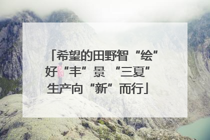 希望的田野智“绘”好“丰”景 “三夏”生产向“新”而行