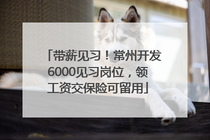 带薪见习！常州开发6000见习岗位，领工资交保险可留用