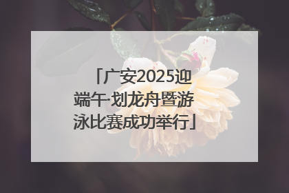 广安2025迎端午·划龙舟暨游泳比赛成功举行