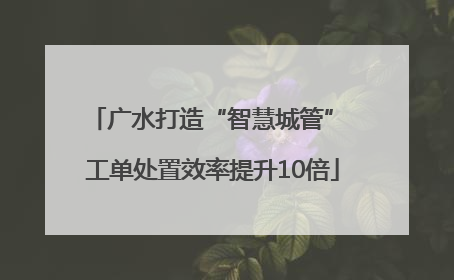 广水打造“智慧城管” 工单处置效率提升10倍