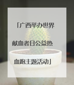 广西举办世界献血者日公益热血跑主题活动