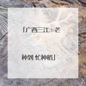 广西三江：芒种到 忙种稻