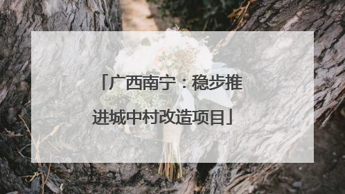广西南宁：稳步推进城中村改造项目