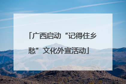 广西启动“记得住乡愁”文化外宣活动