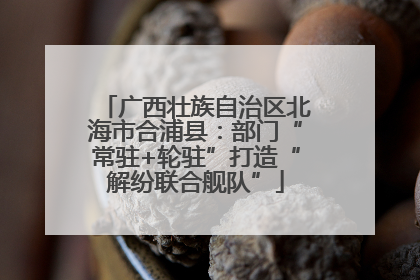 广西壮族自治区北海市合浦县：部门“常驻+轮驻”打造“解纷联合舰队”