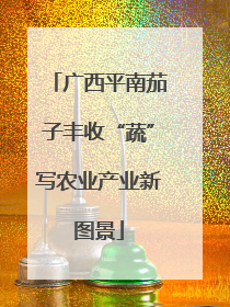 广西平南茄子丰收“蔬”写农业产业新图景