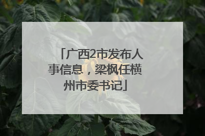 广西2市发布人事信息，梁枫任横州市委书记