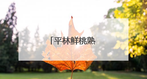 平林鲜桃熟 暖心助农忙