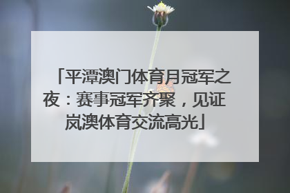 平潭澳门体育月冠军之夜：赛事冠军齐聚，见证岚澳体育交流高光