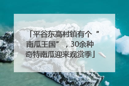 平谷东高村镇有个“南瓜王国”，30余种奇特南瓜迎来观赏季