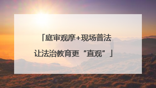 庭审观摩+现场普法 让法治教育更“直观”