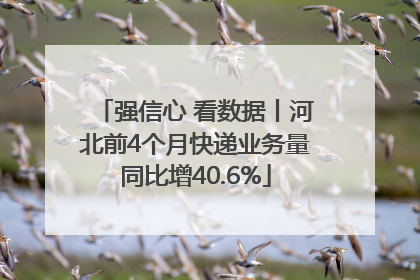 强信心 看数据丨河北前4个月快递业务量同比增40.6%