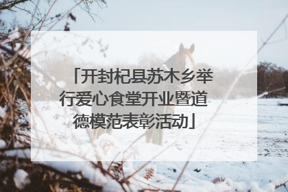 开封杞县苏木乡举行爱心食堂开业暨道德模范表彰活动