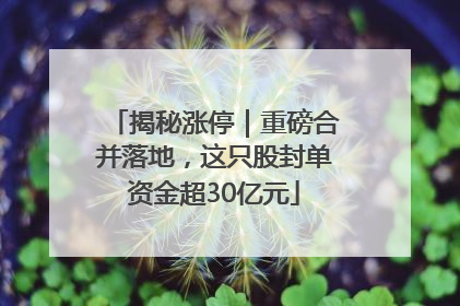 揭秘涨停｜重磅合并落地，这只股封单资金超30亿元