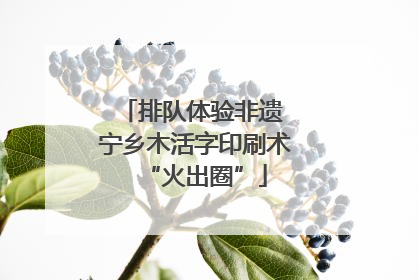 排队体验非遗 宁乡木活字印刷术“火出圈”