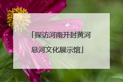 探访河南开封黄河悬河文化展示馆