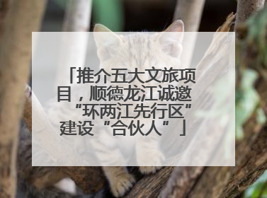 推介五大文旅项目，顺德龙江诚邀“环两江先行区”建设“合伙人”