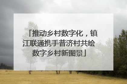 推动乡村数字化，镇江联通携手普济村共绘数字乡村新图景