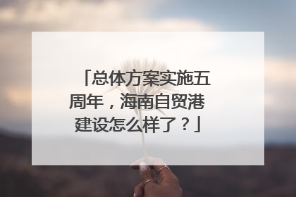 总体方案实施五周年，海南自贸港建设怎么样了？