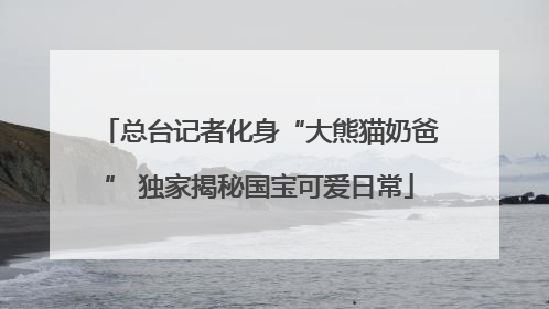 总台记者化身“大熊猫奶爸” 独家揭秘国宝可爱日常