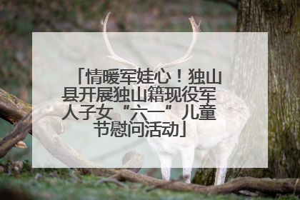 情暖军娃心！独山县开展独山籍现役军人子女“六一”儿童节慰问活动