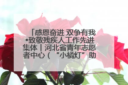 感恩奋进 双争有我•致敬残疾人工作先进集体丨河北省青年志愿者中心（“小橘灯”助残接力计划实施团队）：用温暖陪伴，守护特殊孩子成长