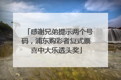感谢兄弟提示两个号码，浦东购彩者复式票喜中大乐透头奖