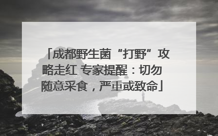 成都野生菌“打野”攻略走红 专家提醒：切勿随意采食，严重或致命