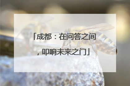 成都：在问答之间，叩响未来之门