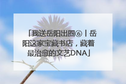 我送岳阳出圈⑥丨岳阳这家宝藏书店，藏着最治愈的文艺DNA