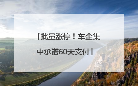 批量涨停！车企集中承诺60天支付