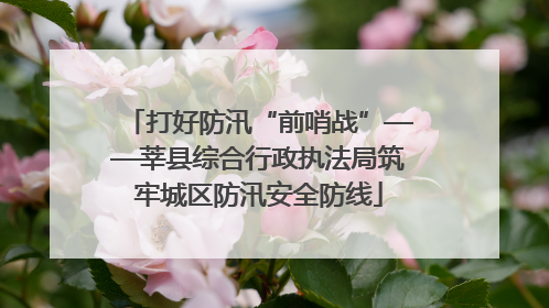 打好防汛“前哨战”——莘县综合行政执法局筑牢城区防汛安全防线