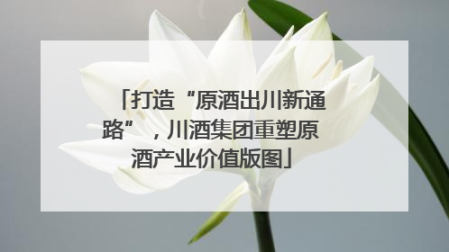 打造“原酒出川新通路”，川酒集团重塑原酒产业价值版图