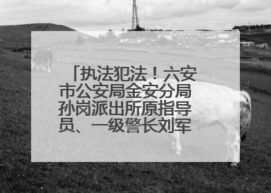 执法犯法！六安市公安局金安分局孙岗派出所原指导员、一级警长刘军被“双开”