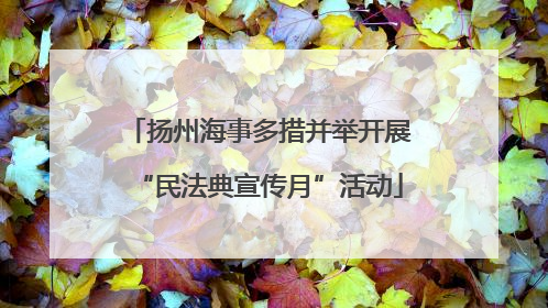 扬州海事多措并举开展“民法典宣传月”活动