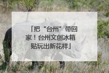 把“台州”带回家！台州文创冰箱贴玩出新花样