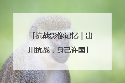 抗战影像记忆｜出川抗战，身已许国