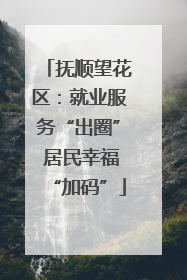 抚顺望花区：就业服务“出圈” 居民幸福“加码”