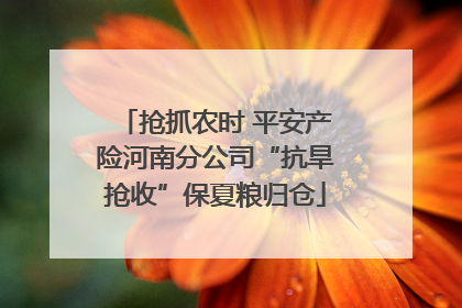 抢抓农时 平安产险河南分公司“抗旱抢收”保夏粮归仓