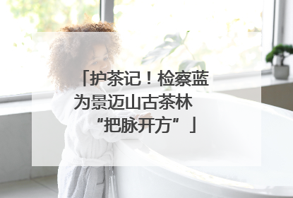 护茶记！检察蓝为景迈山古茶林 “把脉开方”